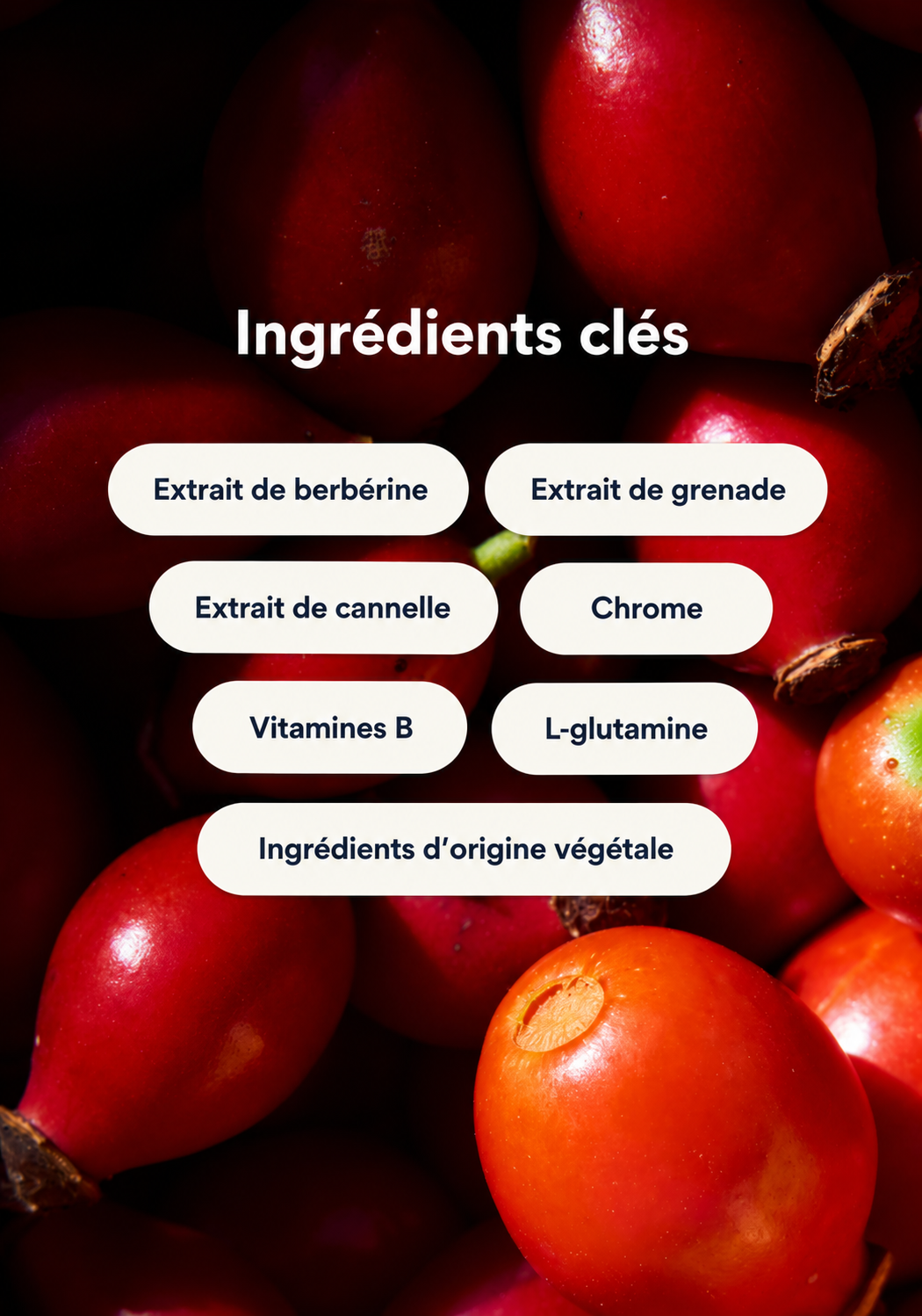 PATCH CONTRÔLE DE L’APPÉTIT NUVA CORA